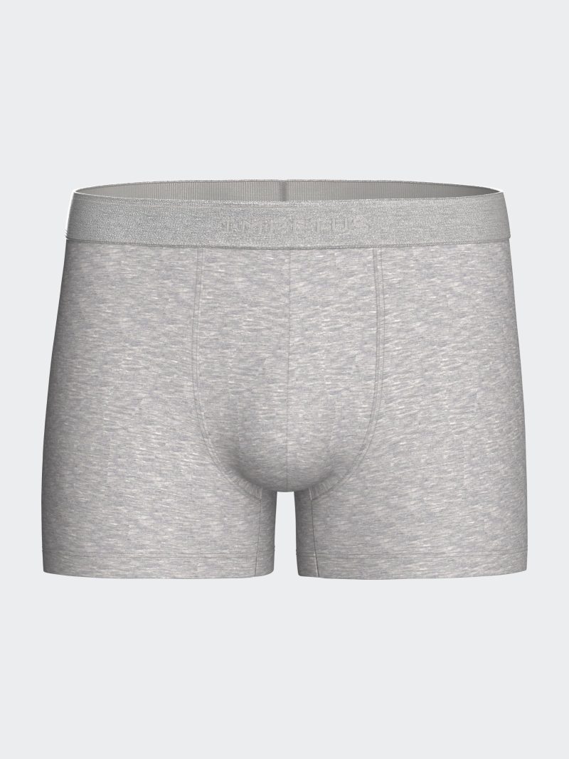 Les dessous Boxer gris 1240b45