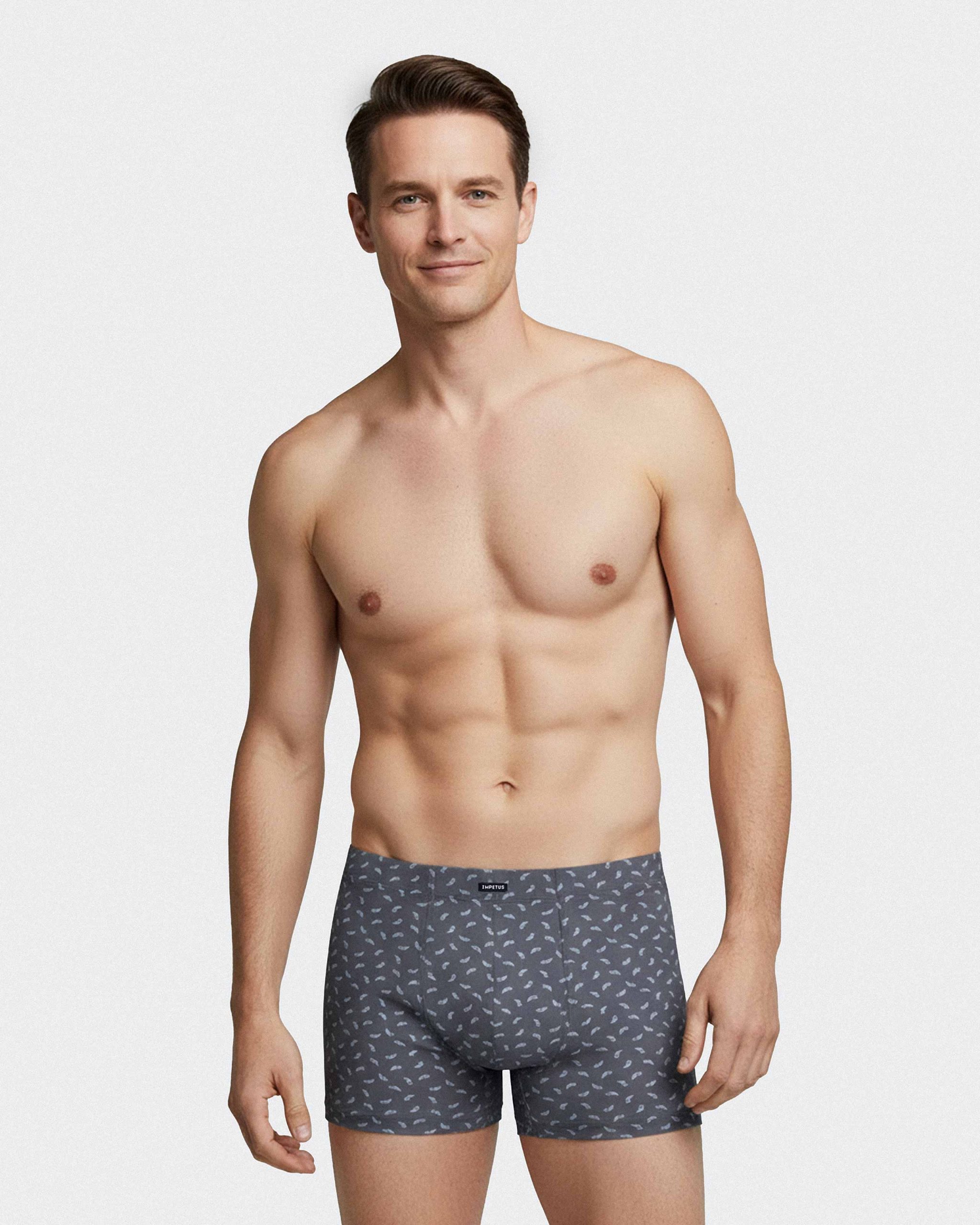 Les dessous Boxer gris im1222p12p2