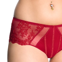 Culottes Shorty / Boxer rouge à lèvres 533*40