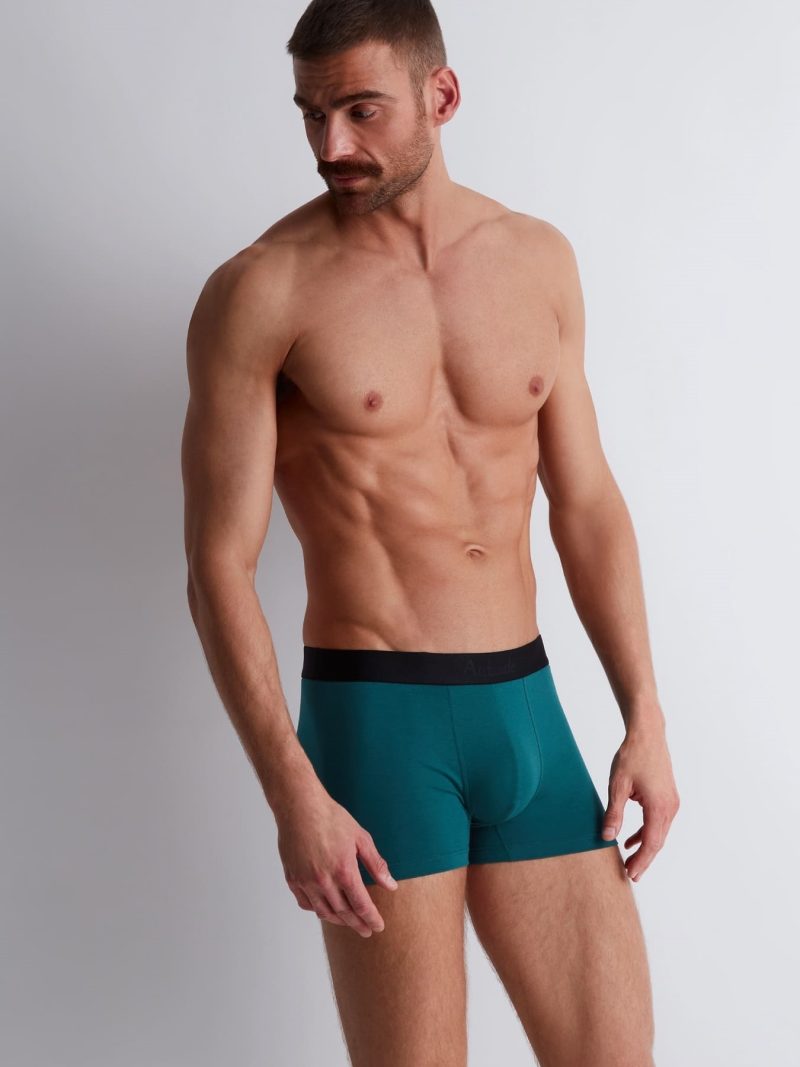 Les dessous Boxer talisman xb58t