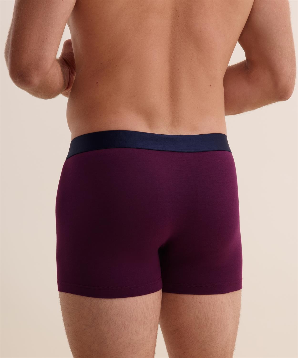 Les dessous Boxer fleur de boteh xb58t – Image 4