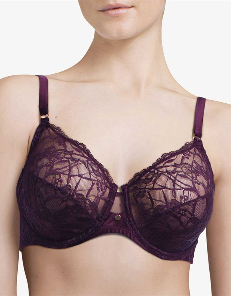 Soutiens-Gorge Armatures aubergine c21510