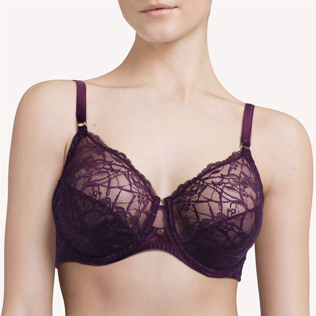 Soutiens-Gorge Armatures aubergine c21510