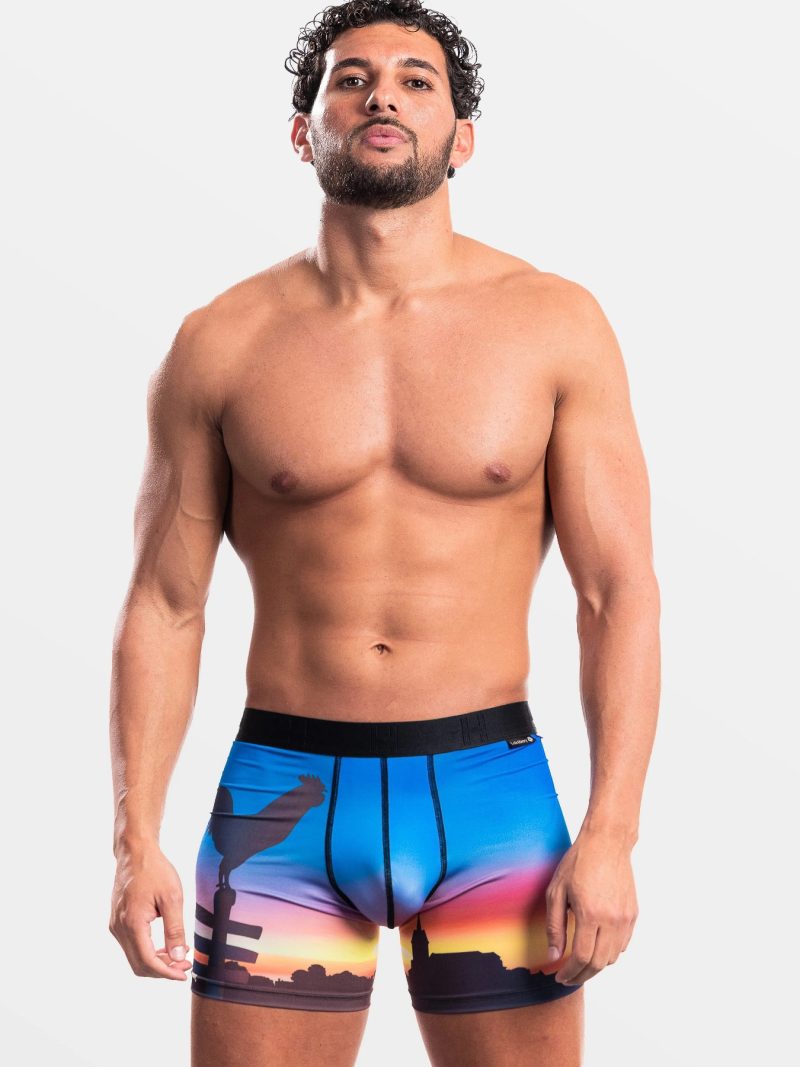 Les dessous Boxer imprime kbi070