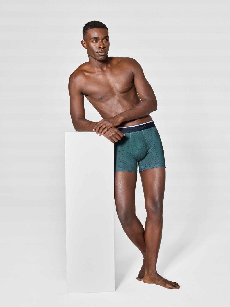 Les dessous Boxer verdon ep1221h81