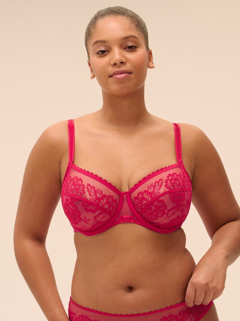 Soutiens-Gorge Emboitant cranberry 1g2313