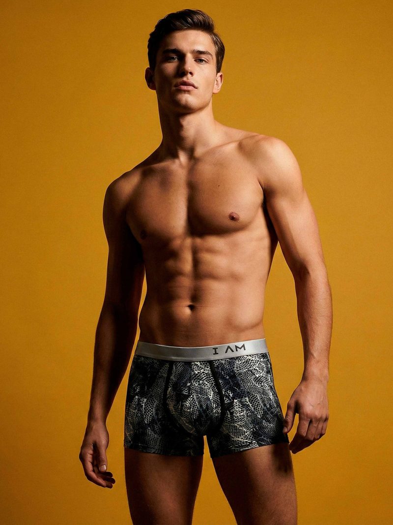 Les dessous Boxer gris ii1221p98